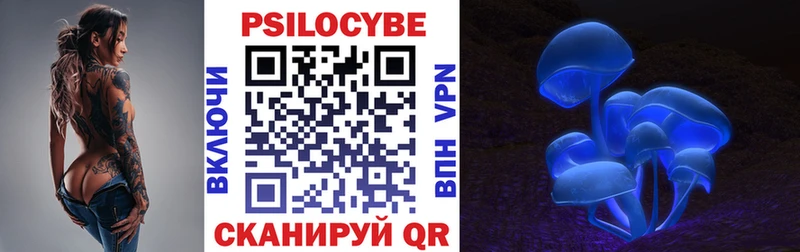 OMG ССЫЛКА  Починок  Галлюциногенные грибы мицелий 